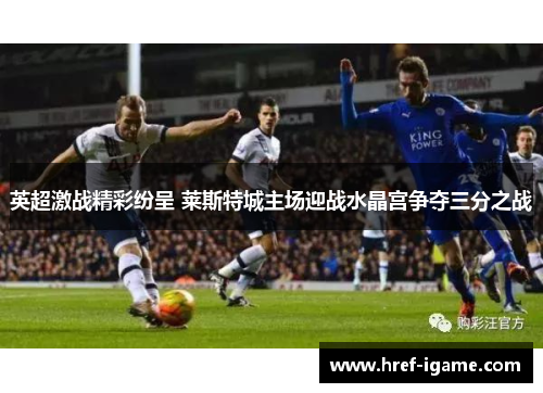 英超激战精彩纷呈 莱斯特城主场迎战水晶宫争夺三分之战 英超激战精彩纷呈 莱斯特城主场迎战水晶宫争夺三分之战