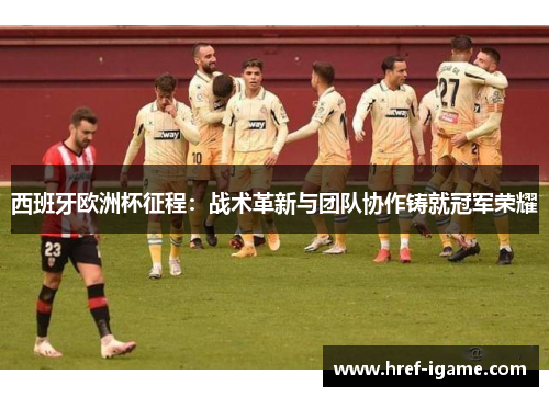 西班牙欧洲杯征程：战术革新与团队协作铸就冠军荣耀