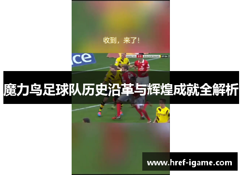 魔力鸟足球队历史沿革与辉煌成就全解析