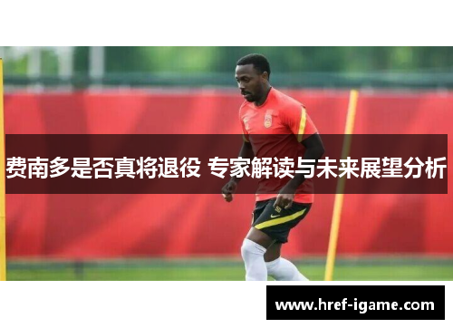 费南多是否真将退役 专家解读与未来展望分析