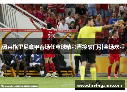 佩莱格里尼意甲客场任意球精彩直接破门引全场欢呼